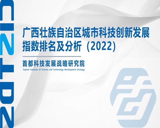 日本插逼网站【成果发布】广西壮族自治区城市科技创新发展指数排名及分析（2022）